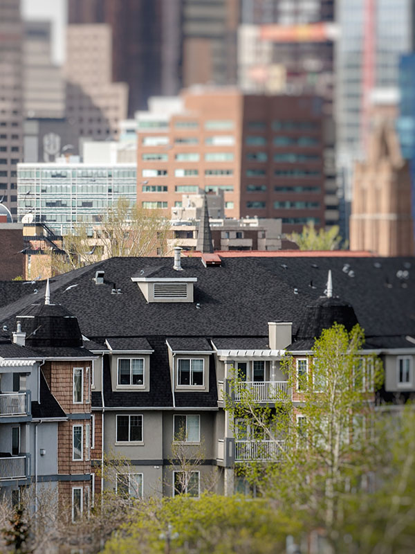city skyline