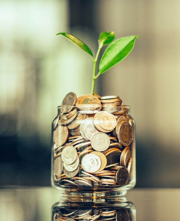 jar full of coins with a plant growing out of the coins